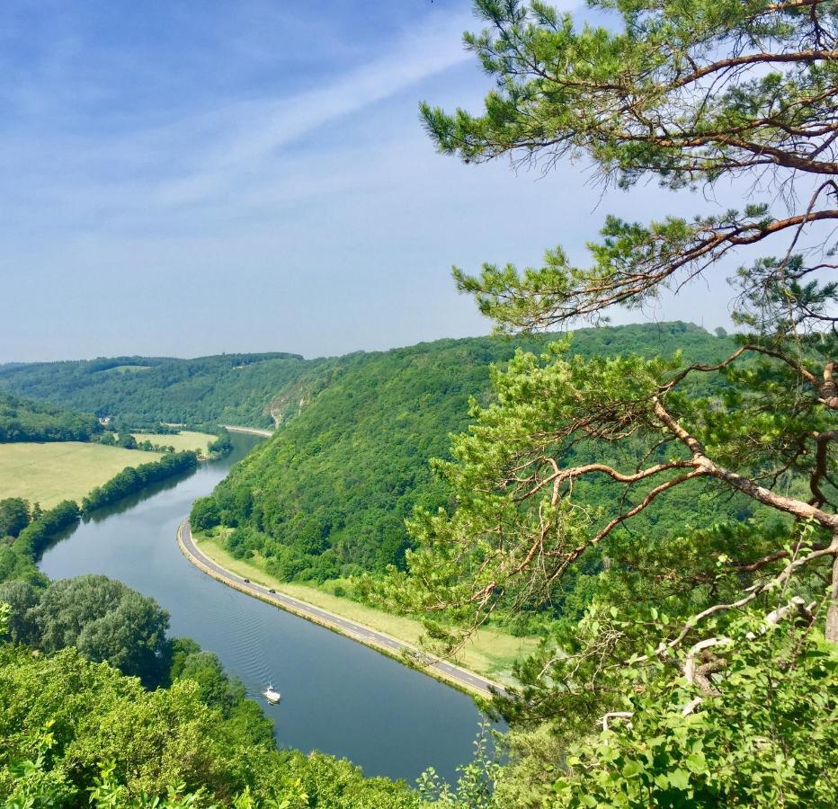 בלאימונט Cocooning Near Dinant 300M From River Meuse מראה חיצוני תמונה