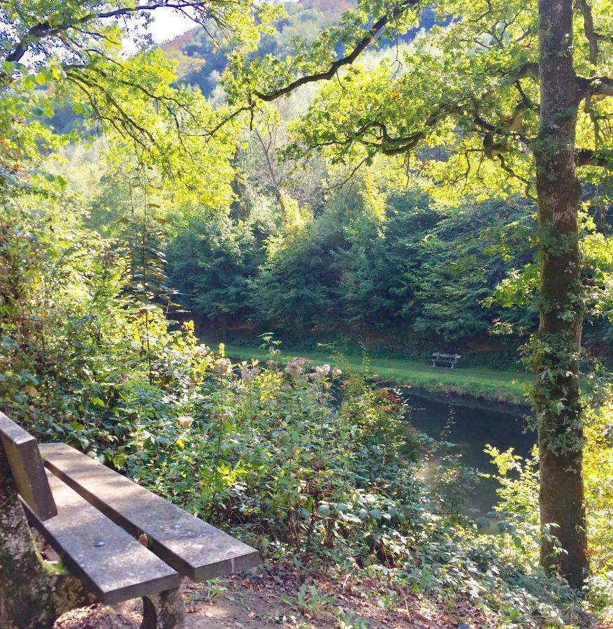 בלאימונט Cocooning Near Dinant 300M From River Meuse מראה חיצוני תמונה